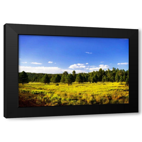 Big Sky Ranch II Black Modern Wood Framed Art Print by Hausenflock, Alan