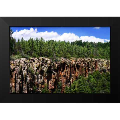 Bones of the Earth Black Modern Wood Framed Art Print by Hausenflock, Alan
