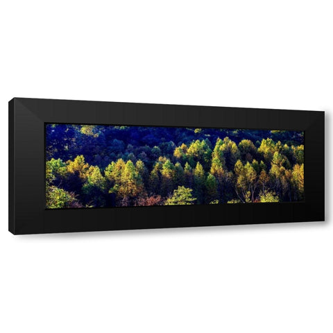 Autumn Ridge I Black Modern Wood Framed Art Print by Hausenflock, Alan