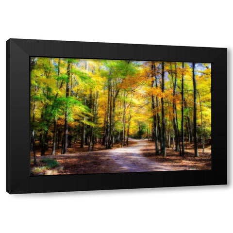 Goose Pond Lane II Black Modern Wood Framed Art Print with Double Matting by Hausenflock, Alan