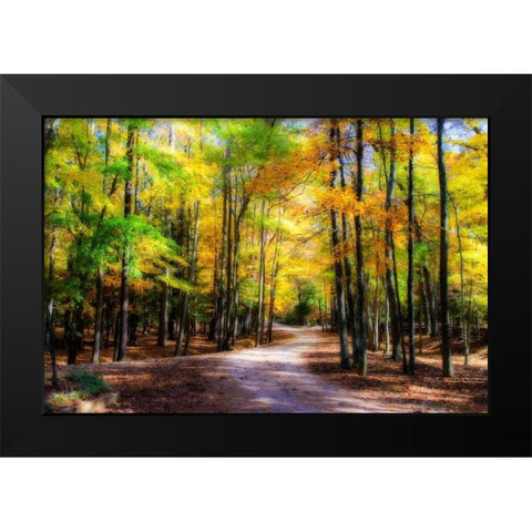 Goose Pond Lane II Black Modern Wood Framed Art Print by Hausenflock, Alan