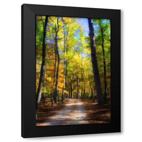 Goose Pond Lane III Black Modern Wood Framed Art Print with Double Matting by Hausenflock, Alan