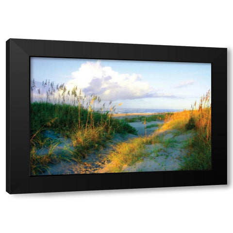 Dunes I Black Modern Wood Framed Art Print with Double Matting by Hausenflock, Alan