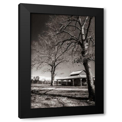 Lewiston Farm II Black Modern Wood Framed Art Print by Hausenflock, Alan