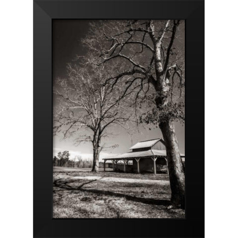 Lewiston Farm II Black Modern Wood Framed Art Print by Hausenflock, Alan