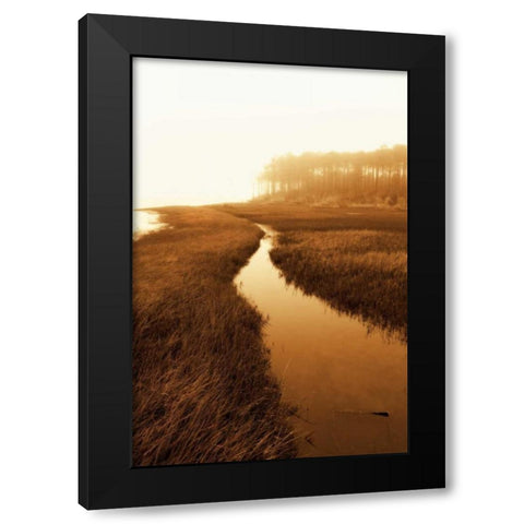 Harkers Island Marsh I Black Modern Wood Framed Art Print by Hausenflock, Alan