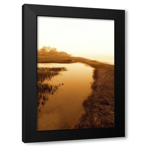 Harkers Island Marsh II Black Modern Wood Framed Art Print by Hausenflock, Alan
