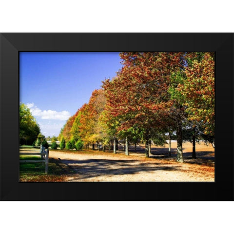 Plantation Road Black Modern Wood Framed Art Print by Hausenflock, Alan