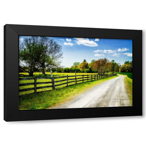 Spring on the Farm I Black Modern Wood Framed Art Print by Hausenflock, Alan