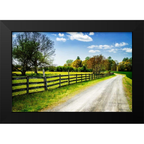 Spring on the Farm I Black Modern Wood Framed Art Print by Hausenflock, Alan