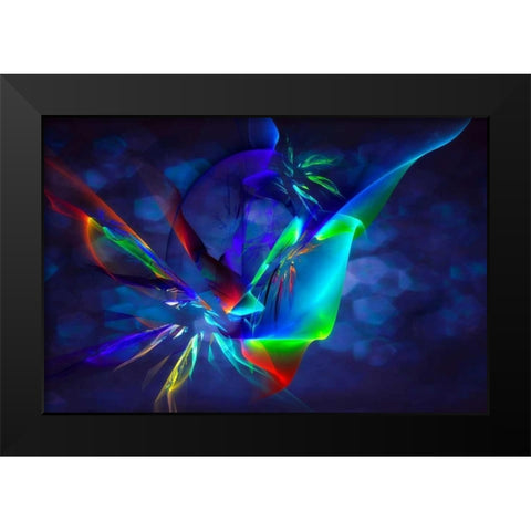 Frenzy II Black Modern Wood Framed Art Print by Hausenflock, Alan