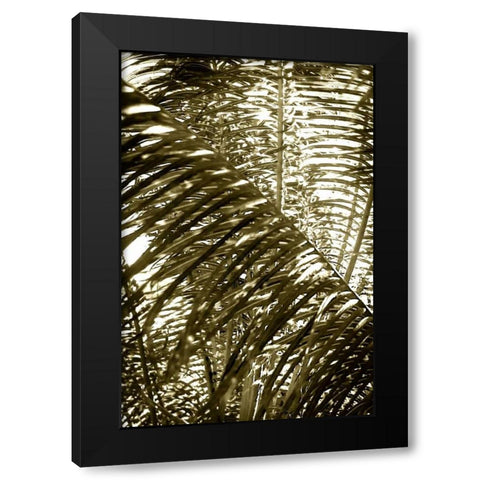 Dancing Light I Black Modern Wood Framed Art Print with Double Matting by Hausenflock, Alan
