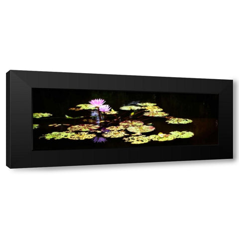 Lake Lilies I Black Modern Wood Framed Art Print by Hausenflock, Alan