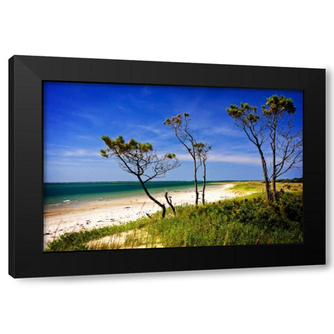 Cedar Inlet Black Modern Wood Framed Art Print by Hausenflock, Alan