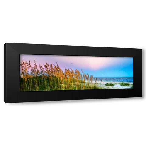 Days End II Black Modern Wood Framed Art Print with Double Matting by Hausenflock, Alan