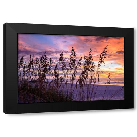 Ragged Sunrise III Black Modern Wood Framed Art Print by Hausenflock, Alan