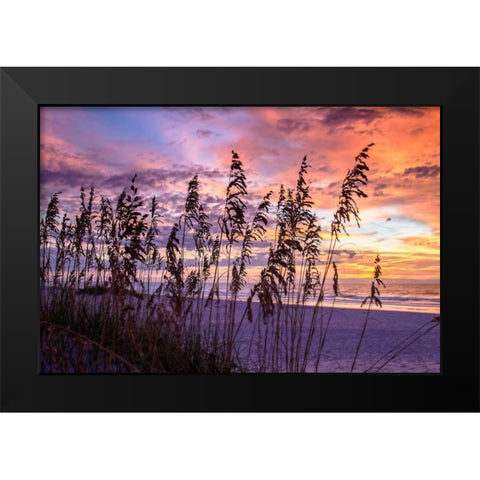 Ragged Sunrise III Black Modern Wood Framed Art Print by Hausenflock, Alan