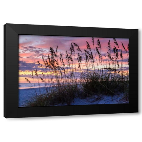 Ragged Sunrise IV Black Modern Wood Framed Art Print with Double Matting by Hausenflock, Alan