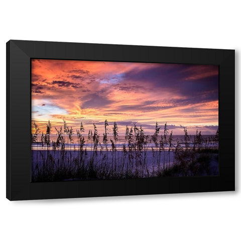 September Sunrise III Black Modern Wood Framed Art Print by Hausenflock, Alan