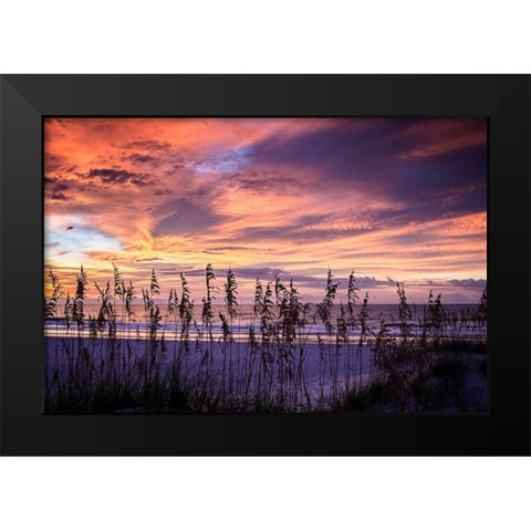 September Sunrise III Black Modern Wood Framed Art Print by Hausenflock, Alan