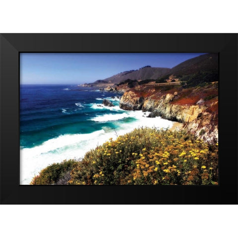 Garrapata Highlands II Black Modern Wood Framed Art Print by Hausenflock, Alan