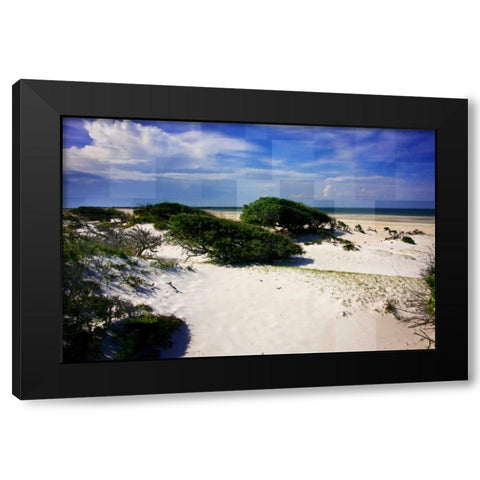 Windswept Beach Black Modern Wood Framed Art Print by Hausenflock, Alan