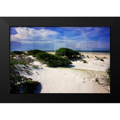 Windswept Beach Black Modern Wood Framed Art Print by Hausenflock, Alan