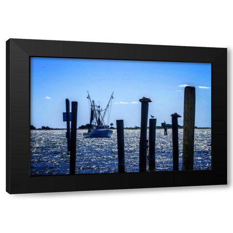 Bringing The Catch In I Black Modern Wood Framed Art Print by Hausenflock, Alan