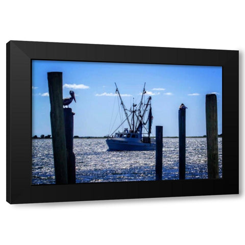 Bringing The Catch In II Black Modern Wood Framed Art Print by Hausenflock, Alan