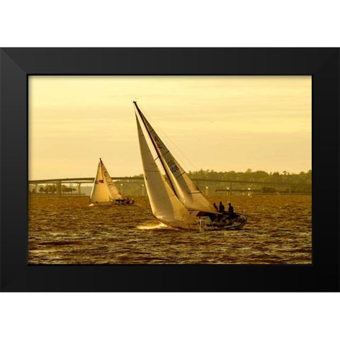 Severn River Sailing II Black Modern Wood Framed Art Print by Hausenflock, Alan