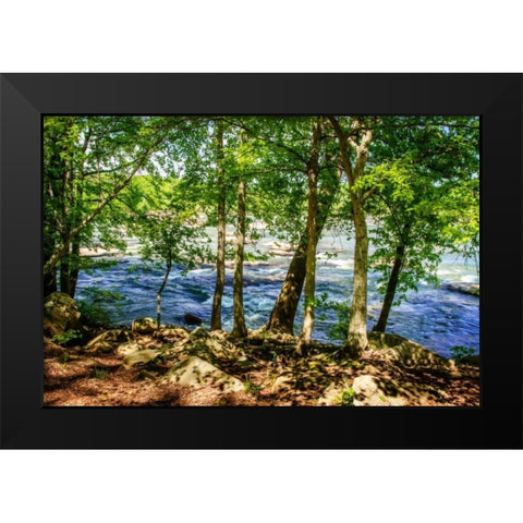 Spring On The River I Black Modern Wood Framed Art Print by Hausenflock, Alan