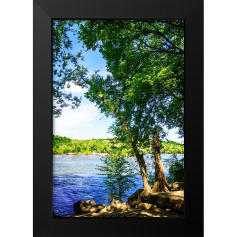 Spring On The River III Black Modern Wood Framed Art Print by Hausenflock, Alan