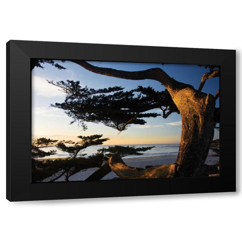 Carmel Sunset II Black Modern Wood Framed Art Print with Double Matting by Hausenflock, Alan