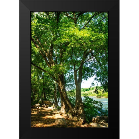 Spring On The River IV Black Modern Wood Framed Art Print by Hausenflock, Alan