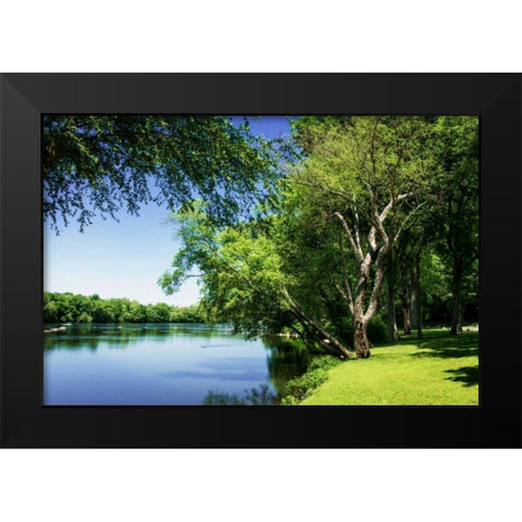 Spring On The River V Black Modern Wood Framed Art Print by Hausenflock, Alan