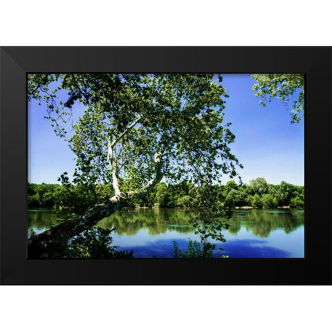 Spring On The River VI Black Modern Wood Framed Art Print by Hausenflock, Alan