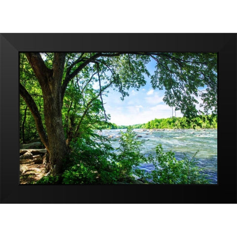 Spring On The River VII Black Modern Wood Framed Art Print by Hausenflock, Alan