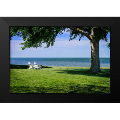 Together II Black Modern Wood Framed Art Print by Hausenflock, Alan