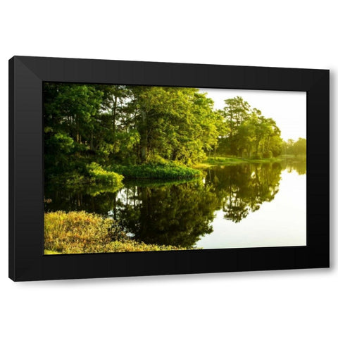 Sunrise On Green Lake II Black Modern Wood Framed Art Print with Double Matting by Hausenflock, Alan