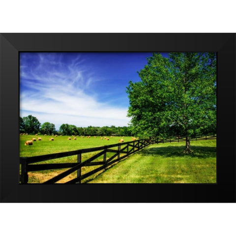 Green Springs Farm I Black Modern Wood Framed Art Print by Hausenflock, Alan