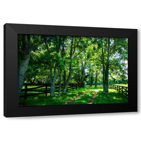 Green Springs Farm III Black Modern Wood Framed Art Print by Hausenflock, Alan