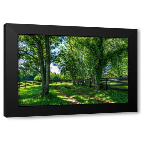 Green Springs Farm IV Black Modern Wood Framed Art Print with Double Matting by Hausenflock, Alan