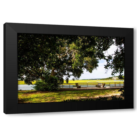 Pawley Island IV Black Modern Wood Framed Art Print with Double Matting by Hausenflock, Alan