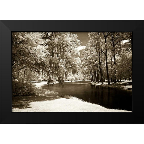Pines Along The Stream Black Modern Wood Framed Art Print by Hausenflock, Alan