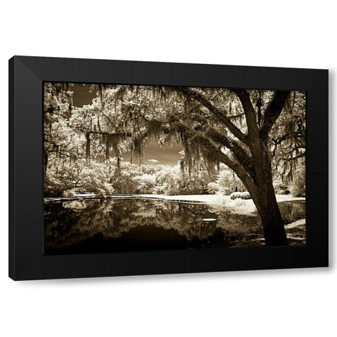 Walkers Pond II Black Modern Wood Framed Art Print by Hausenflock, Alan