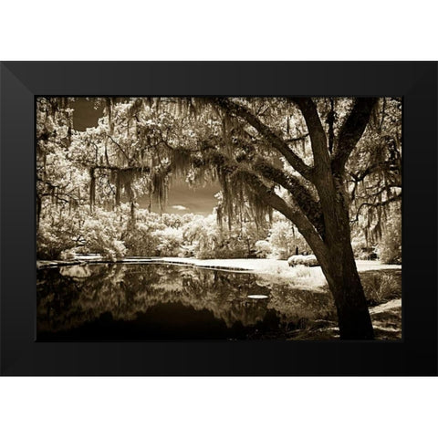 Walkers Pond II Black Modern Wood Framed Art Print by Hausenflock, Alan