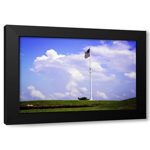 Ol Glory II Black Modern Wood Framed Art Print with Double Matting by Hausenflock, Alan