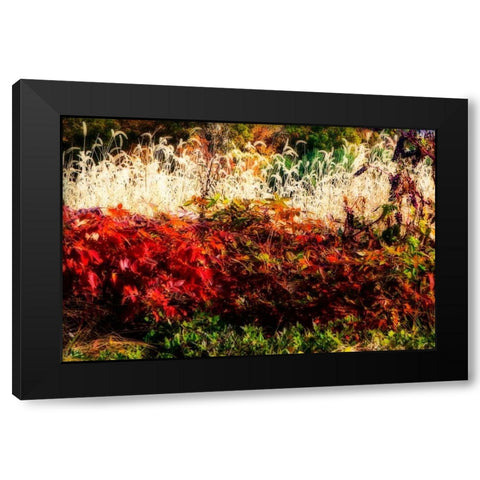 Color Of Fall I Black Modern Wood Framed Art Print with Double Matting by Hausenflock, Alan