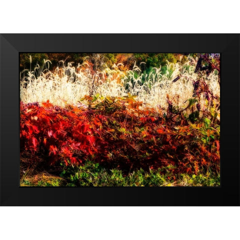 Color Of Fall I Black Modern Wood Framed Art Print by Hausenflock, Alan