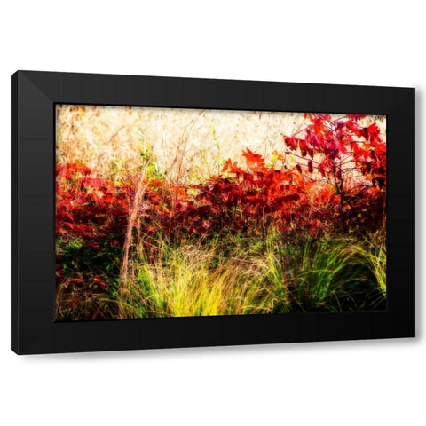 Color Of Fall II Black Modern Wood Framed Art Print with Double Matting by Hausenflock, Alan